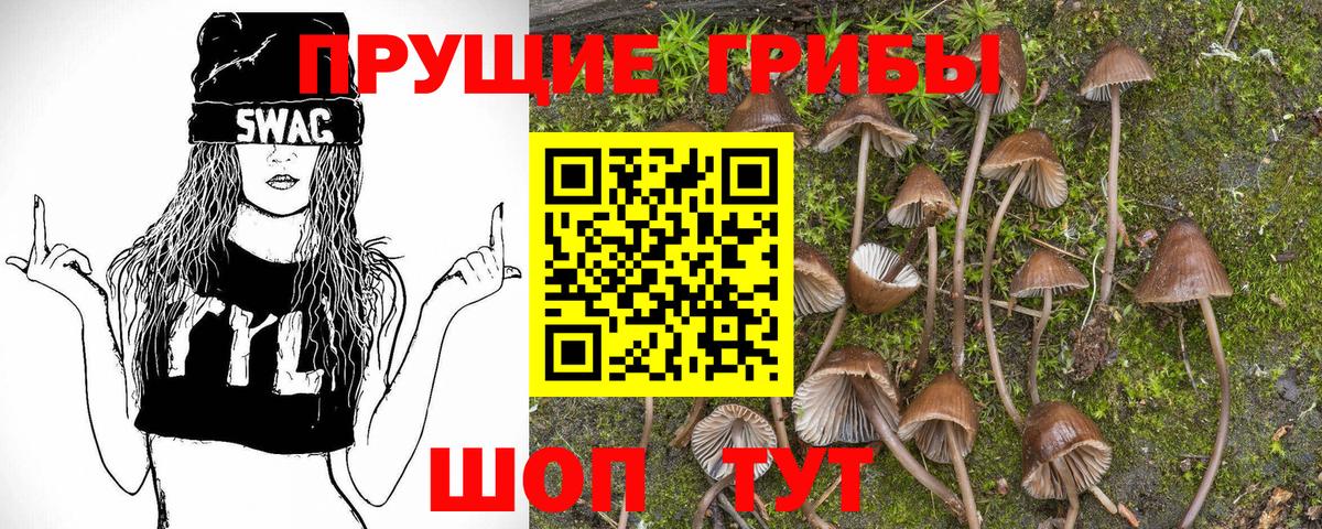 Галлюциногенные грибы Psilocybine cubensis Урай